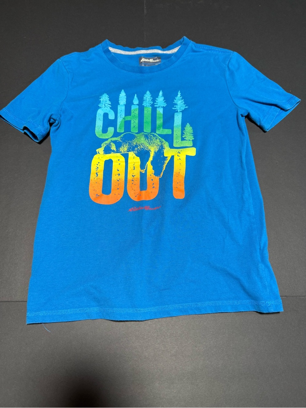 Eddie Bauer Blue Kids 'Chill Out' Gradient Graphic Tee